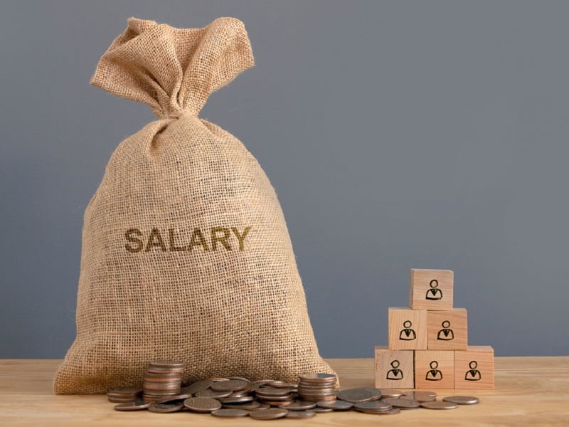 sack with salary and wooden blocks
